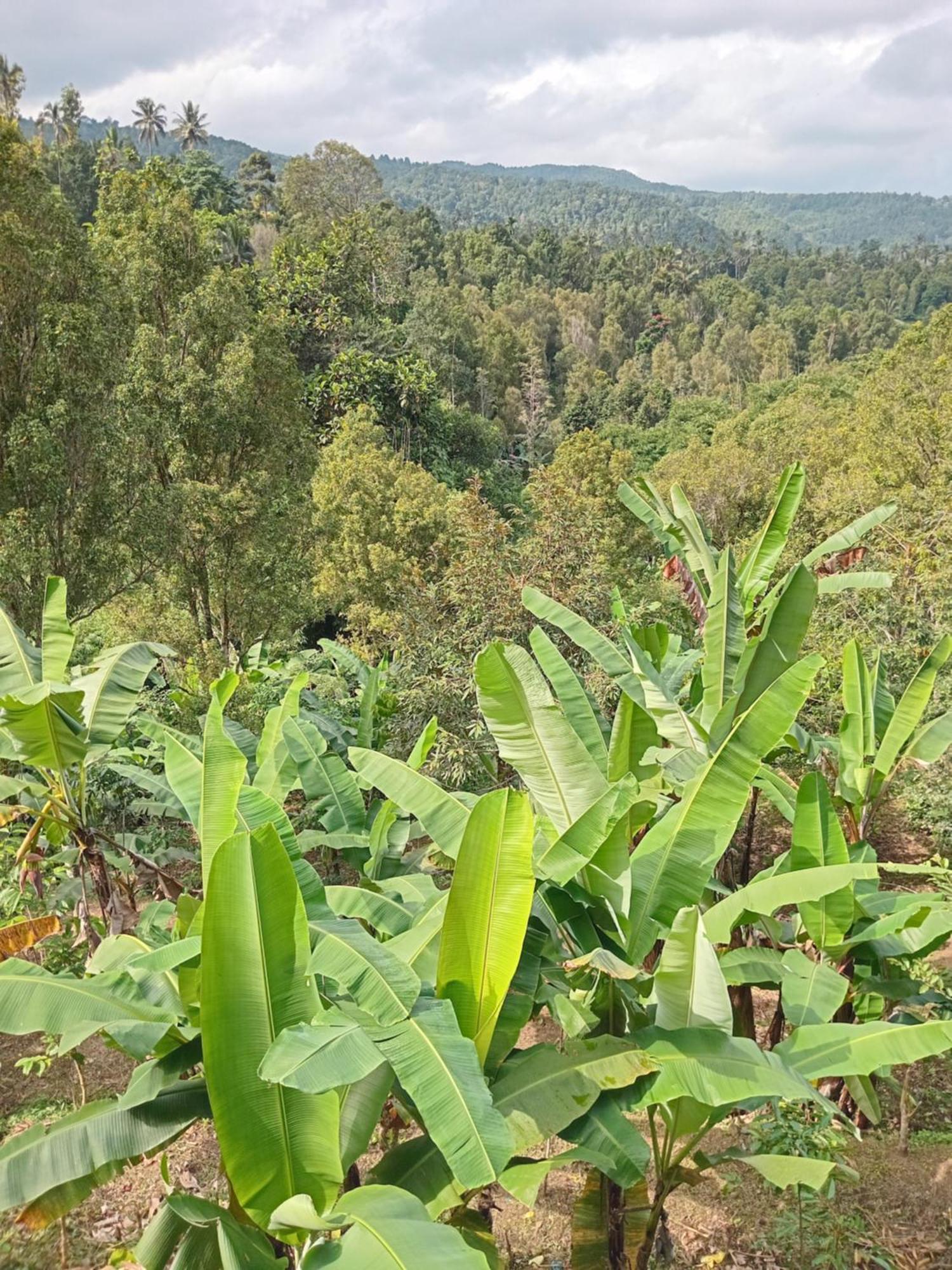 Kanaya Homestay & Warung Heaven มุนดุก ภายนอก รูปภาพ